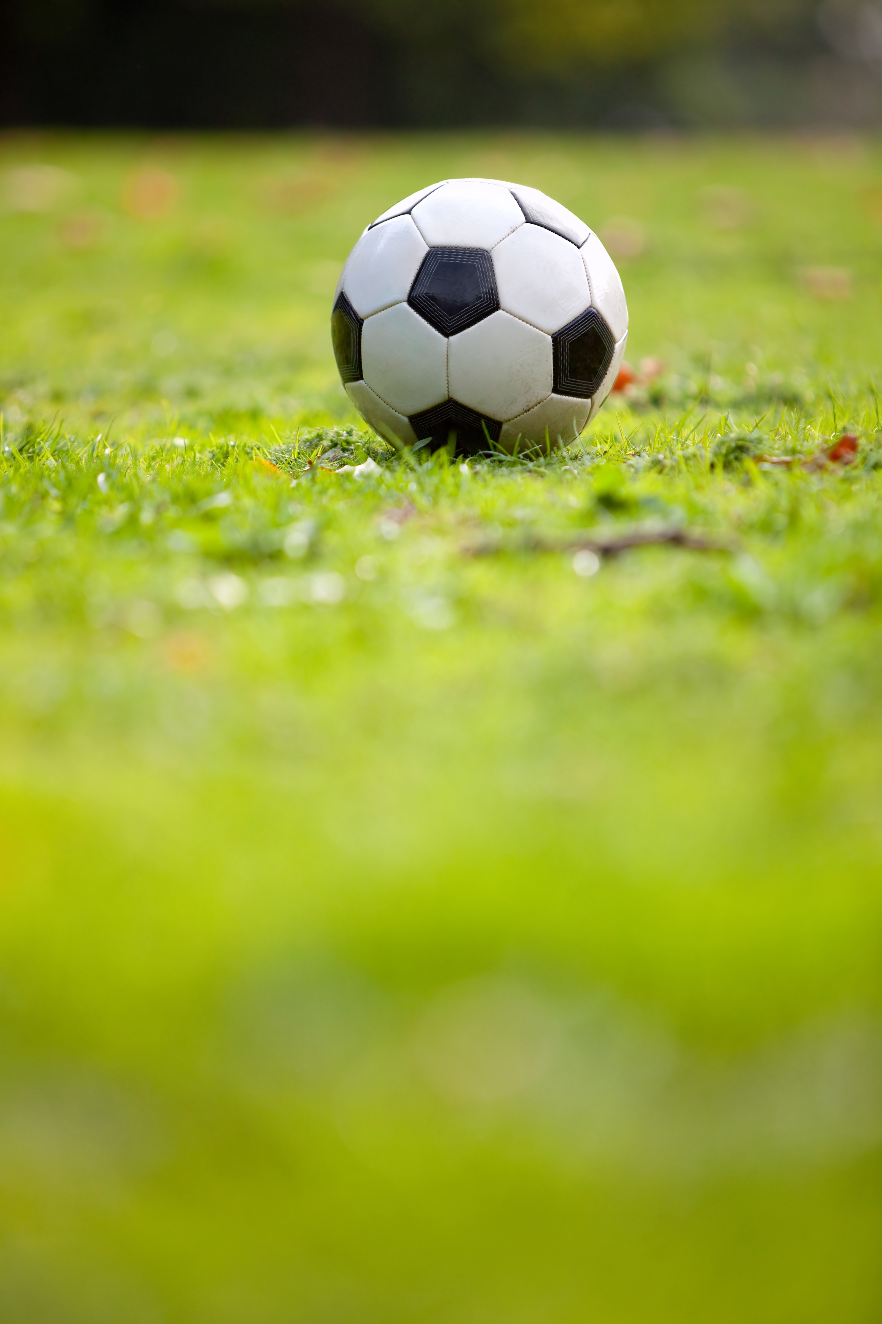 shutterstock_63941119